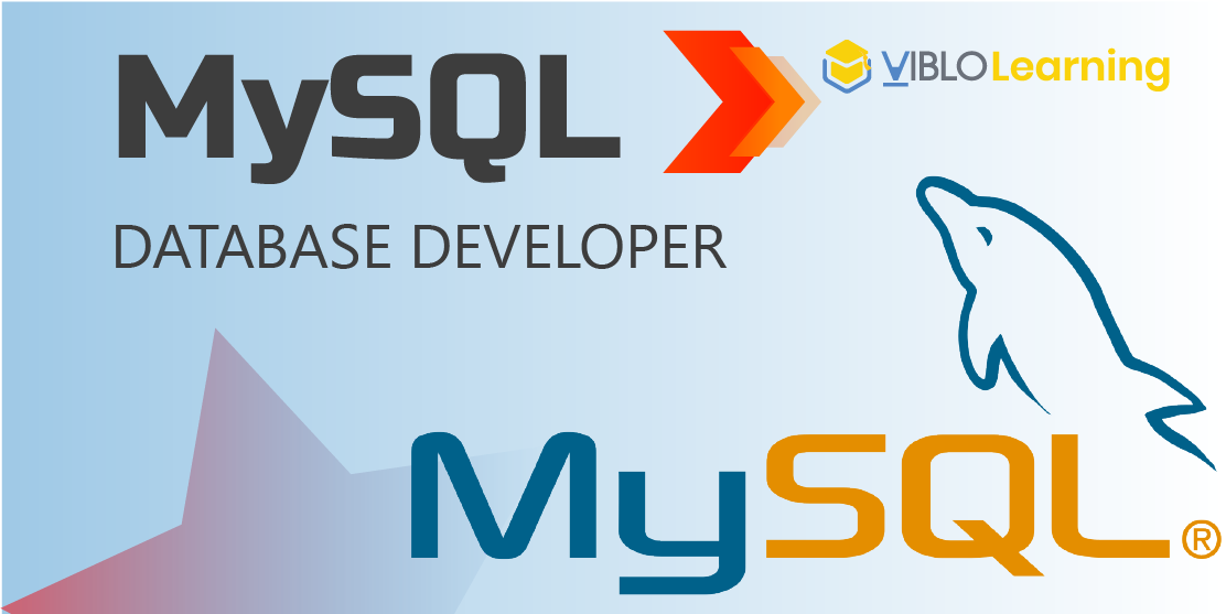 MySQL Database Developer | Viblo Learning